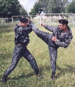 Школа боевых искусств