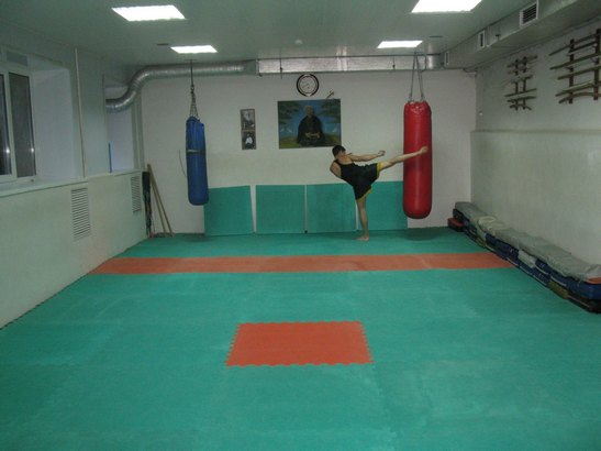Школа боевых искусств